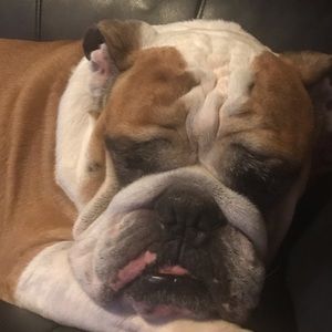 Meet your Posher, Natalia